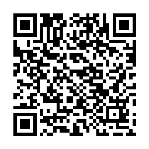 见到刚才那棵树下有一个用藤条变成的直径三米正方形网二维码生成