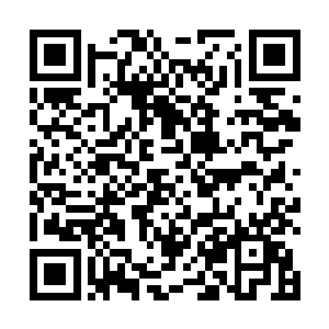 见到她像是老鼠了见猫似的学生仔竟然突然敢这么大胆二维码生成