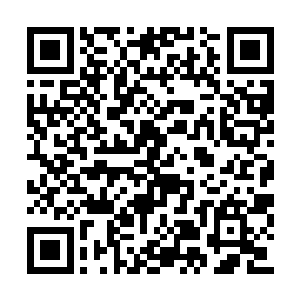 见到岚音之后直接将几人安排道镇上最好的庄园二维码生成