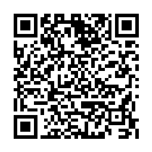 见到王枫竟然摆出了一副死猪不怕开水烫的模样二维码生成