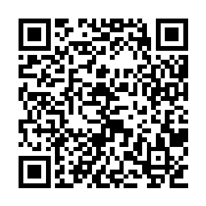 见到这个业火红莲之后仍旧是忍不住一阵的激动二维码生成