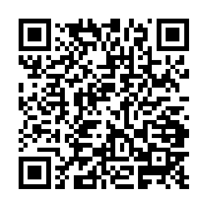 见到这个规模之后龙傲天的心中也是微微的有些明白了二维码生成