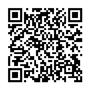 见到这种情景龙傲天自然也是撑起了一个防护罩二维码生成