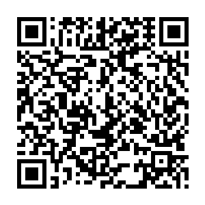 见到韩风如此轻易就轰杀了血月天帝这等接近上等天帝中顶级战力的强大存在二维码生成