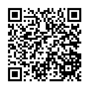 见到龙傲天几个人竟然根本就没有逃走的意思之后二维码生成