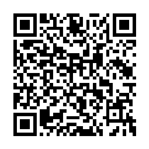 见前方伴行的秦薇薇和苗毅依旧是不时交谈两句二维码生成