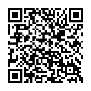 见夏云杰说杀一个举霞中期修士如杀一条狗一样二维码生成