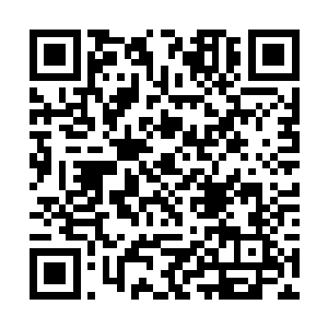 见她带着两个孩子回来不仅没露出半点不高兴的样子二维码生成