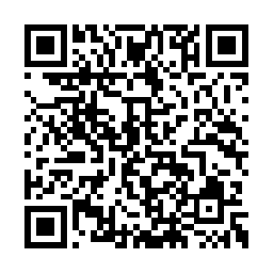 见姚满屯一大早起来把院子用草木灰撒了很多圈二维码生成