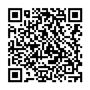 见战如意对此地习以为常不像其他人很有兴趣的样子二维码生成