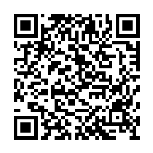 见楼前的水泥路上有个背着蓝色背包的娇小身影二维码生成