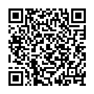 见穿着一身大红色衣袍的男人带着一身酒气进来二维码生成