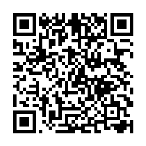 见罗秋萍竟然劝王泽生不要再去争取保住秘书的位置二维码生成
