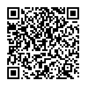 见袁仕平和袁威都是光着膀子就着汽车上引下来的照灯在挖我娘旁边的一座坟二维码生成