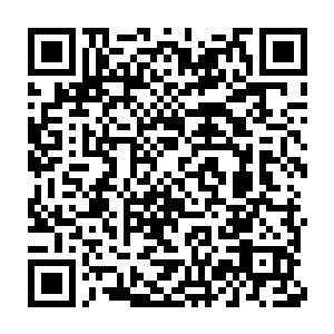 见过不知道多少大风大浪的夜行人两代首领已经不知道该说什么了二维码生成