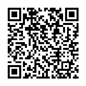 见过无数大风大浪的巨龟此时此刻也不由得激动了起来二维码生成