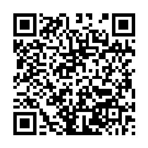 见这衣衫破蔽的不速之客非但没有自惭形愧的吓走二维码生成