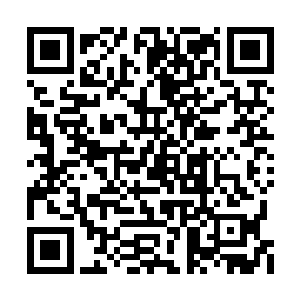 观众口碑和宣传推广力度发挥了至关重要的作用二维码生成