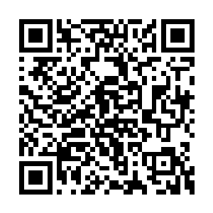 观众席中一瞬间便传出了无数的惊呼声和喝彩声二维码生成