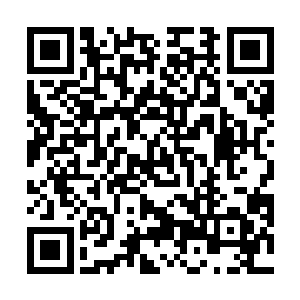 观众的怒火又转向了正在休息区里等待开赛的客队身上二维码生成
