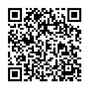 规整好自己身上的阿怒和艾肯勒过来开始帮巴克检查二维码生成
