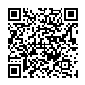 视线不着痕迹地从那起码36d以上的巍峨双峰上扫过二维码生成