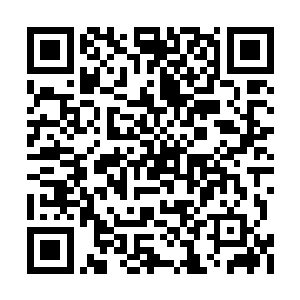 视线在张潇晗和范筱梵两人中间来回逡巡了一会二维码生成