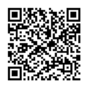 觉哥便即刻向那二位发出了加入会议室的邀请……二维码生成