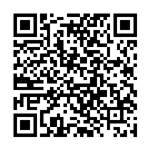 觉哥便果断地决定……对小叹动一次毫不留情的突袭二维码生成