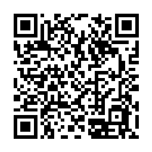 觉得只要自己完全领悟了这万千面孔所展现的衍变二维码生成