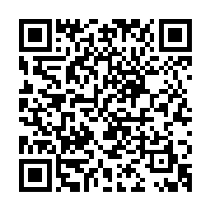 觉得叶家这分明就是仗着自己不知道的这些东西在欺辱自己等人二维码生成
