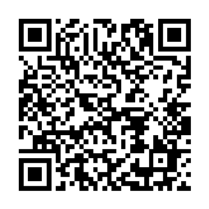 觉得有些心安理得了……这或许是人推卸压力的本能二维码生成