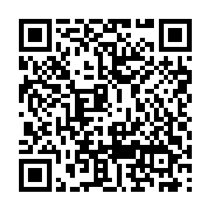 觉得自己这点小伤实在是不值得她露出这样的表情二维码生成