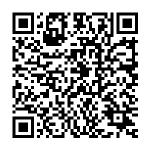 觉得这家伙粘起人来比格子家那只超萌的金吉拉还要有过之而无不及二维码生成