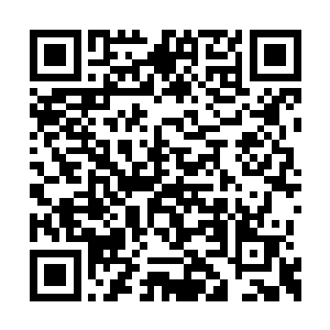 觉得这魔虎似乎并没有传说中说的那般嗜血如命二维码生成