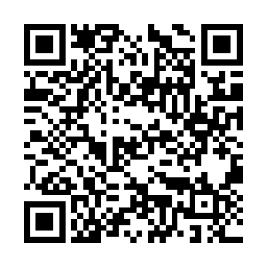 解闷更有可能变成添愁――二狗子不停偷偷踹霏霏二维码生成