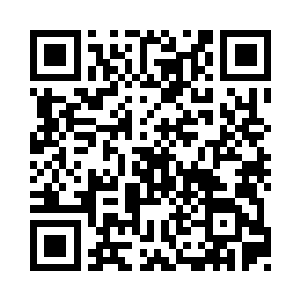 言之凿凿地说两人外形相似度达到惊人的93%二维码生成