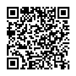 詹姆斯ー沃里本来就是奥斯卡青睐的传统派导演二维码生成