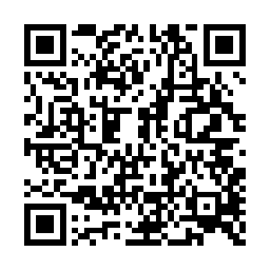 詹彩芝才春节大假还没放完就显得有些心神不宁二维码生成