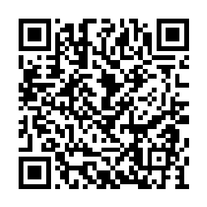 詹彩芝甚至很想去开个病假条住院休息一段时间二维码生成