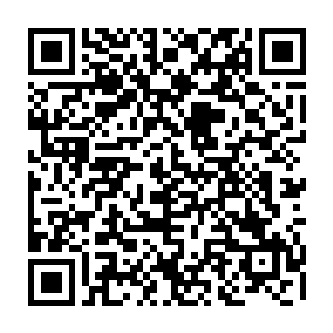 譬如黑虎寨王公那种拥有十三位妾室完全就是模仿外面修士的通俗观念挂个虚名二维码生成