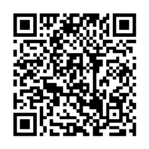 计划就要成功了……他们终于同意施放杜鲁尼亚……二维码生成