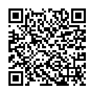 认为他顶多不过就是一个最基本的能力擦边者而已二维码生成