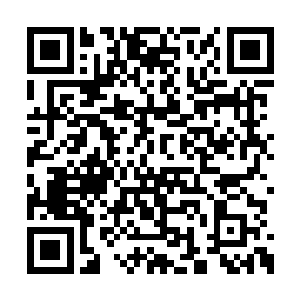 认为因该趁着青山将注意力放在禾田长老身上时二维码生成