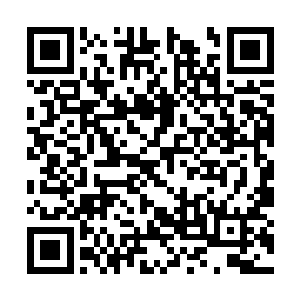 认为自己可以迅速的夺取顶级神器然后顺利逃脱的二维码生成