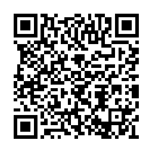 认可张靓并且绽放光芒的玉简只有其中一小部分二维码生成