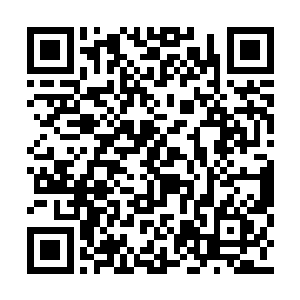 认真地修炼他们本以为没有什么用处的基础武技二维码生成