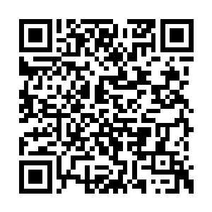 让一名神游巅峰强者带着他朝东边的鬼炎城冲去二维码生成