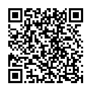 让一群对立面的掌门和长老们全都震惊得无以复加二维码生成