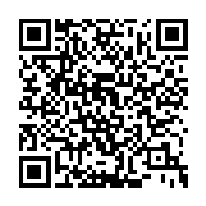让不少人都抱着看好戏的心态庆祝这场生日派对二维码生成